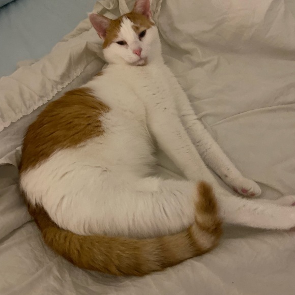 roxiepopovsky